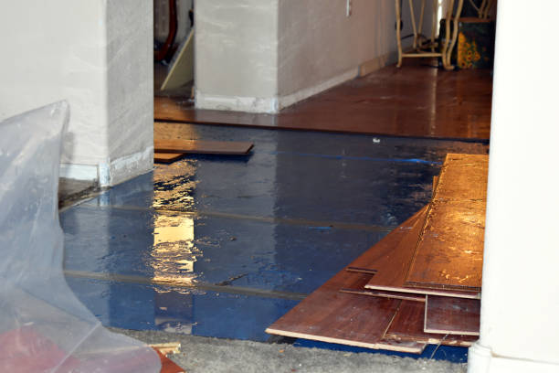 Professional Flood Cleanup technician working in Dowling, MI